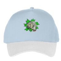 Classic 5-panel snapback (6007) Vignette