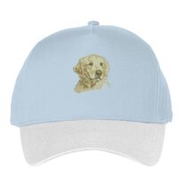 Classic 5-panel snapback (6007) Vignette