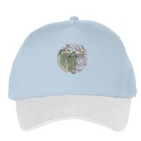 Classic 5-panel snapback (6007) Vignette