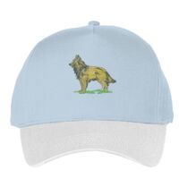 Classic 5-panel snapback (6007) Vignette