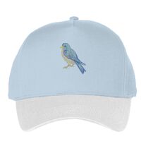 Classic 5-panel snapback (6007) Vignette