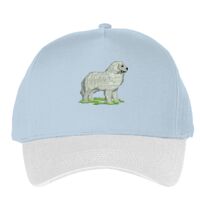 Classic 5-panel snapback (6007) Vignette