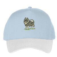 Classic 5-panel snapback (6007) Vignette