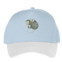 Classic 5-panel snapback (6007) Vignette