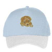 Classic 5-panel snapback (6007) Vignette