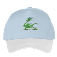 Classic 5-panel snapback (6007) Vignette