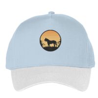 Classic 5-panel snapback (6007) Vignette