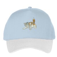 Classic 5-panel snapback (6007) Vignette