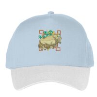 Classic 5-panel snapback (6007) Vignette