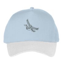 Classic 5-panel snapback (6007) Vignette