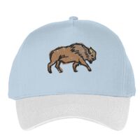 Classic 5-panel snapback (6007) Vignette