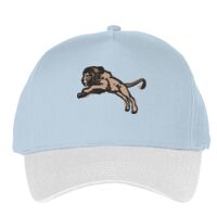 Classic 5-panel snapback (6007) Vignette