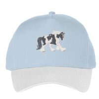 Classic 5-panel snapback (6007) Vignette