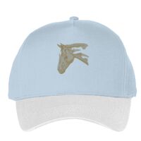 Classic 5-panel snapback (6007) Vignette