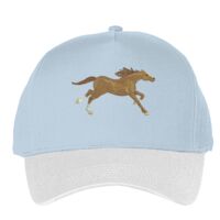 Classic 5-panel snapback (6007) Vignette