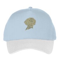 Classic 5-panel snapback (6007) Vignette