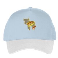 Classic 5-panel snapback (6007) Vignette