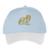 Classic 5-panel snapback (6007) Vignette