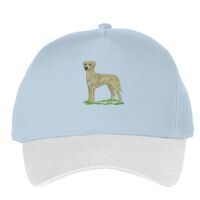 Classic 5-panel snapback (6007) Vignette