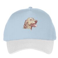 Classic 5-panel snapback (6007) Vignette