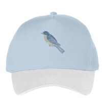 Classic 5-panel snapback (6007) Vignette