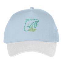 Classic 5-panel snapback (6007) Vignette