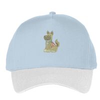 Classic 5-panel snapback (6007) Vignette