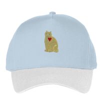 Classic 5-panel snapback (6007) Vignette