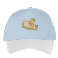 Classic 5-panel snapback (6007) Vignette