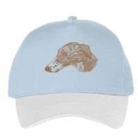 Classic 5-panel snapback (6007) Vignette