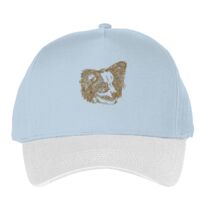 Classic 5-panel snapback (6007) Vignette