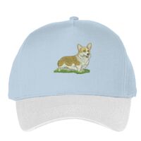 Classic 5-panel snapback (6007) Vignette