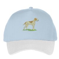 Classic 5-panel snapback (6007) Vignette