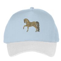 Classic 5-panel snapback (6007) Vignette