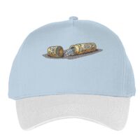 Classic 5-panel snapback (6007) Vignette