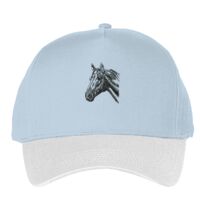 Classic 5-panel snapback (6007) Vignette