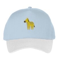 Classic 5-panel snapback (6007) Vignette