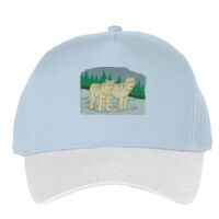Classic 5-panel snapback (6007) Vignette