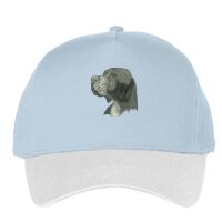 Classic 5-panel snapback (6007) Vignette