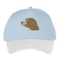 Classic 5-panel snapback (6007) Vignette