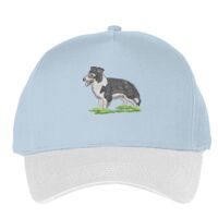 Classic 5-panel snapback (6007) Vignette