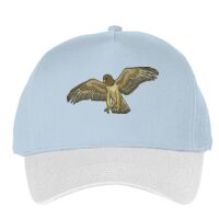 Classic 5-panel snapback (6007) Vignette