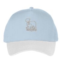 Classic 5-panel snapback (6007) Vignette