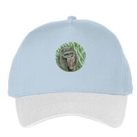 Classic 5-panel snapback (6007) Vignette