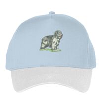 Classic 5-panel snapback (6007) Vignette