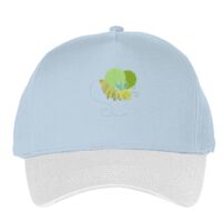 Classic 5-panel snapback (6007) Vignette