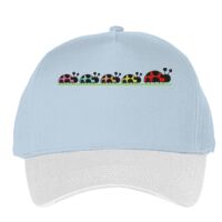 Classic 5-panel snapback (6007) Vignette