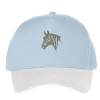 Classic 5-panel snapback (6007) Vignette