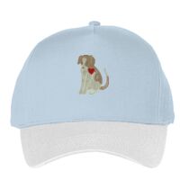 Classic 5-panel snapback (6007) Vignette