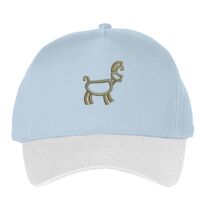 Classic 5-panel snapback (6007) Vignette